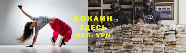 прущие крисы Верея